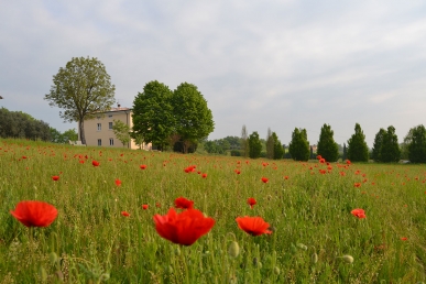 dintorni-home-2